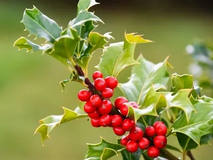 A Christmas Carol - The Spiritual Meaning