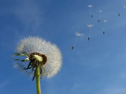 A Christmas Meditation For Lost Loved Ones
