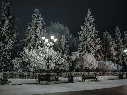 A Christmas Walk For Sleep