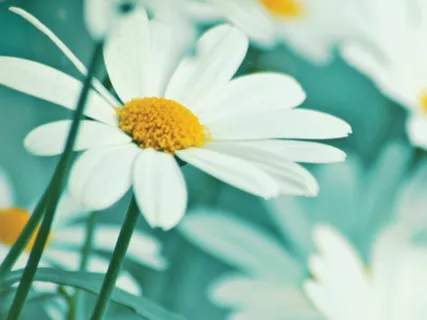 A Coisa Mais Importante da Vida