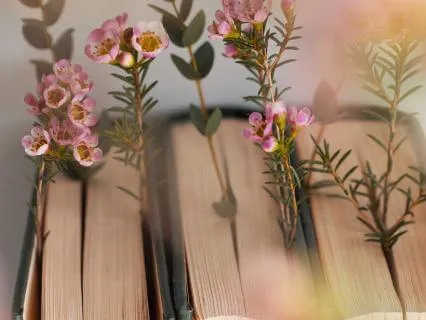 A Collection Of Reflective Stories