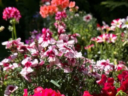 A Colourful And Supportive Body Scan