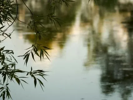 A Compassion Meditation For Difficult Moments