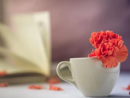 A Compassion Pause | Nervous System Reset Series