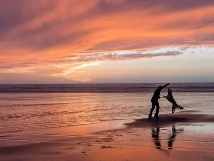 A Compassionate Companion