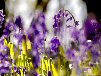 A Compassionate Heart Practice