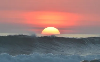 A Conditioned Mind Is Disorder And Only Deals With Symptoms