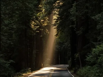 A Conversation About Life And Consciousness