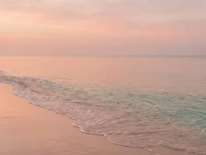 A Conversation Across Time