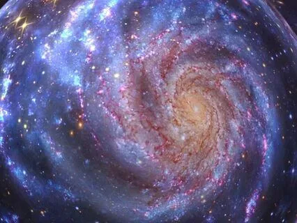 A Conversation With Fear