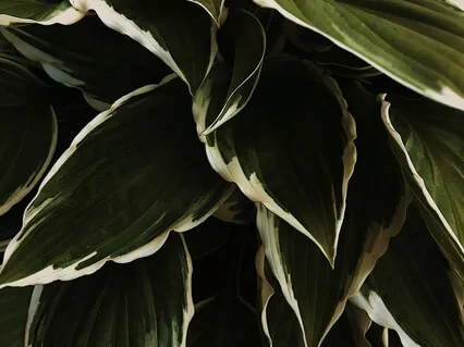 The Fundamental Truth: A Conversation With John P. Milton