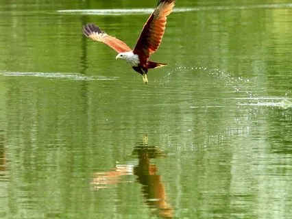 A Conversation With Your Inner Critic