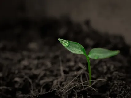 A Coronavirus Uncertainty Meditation