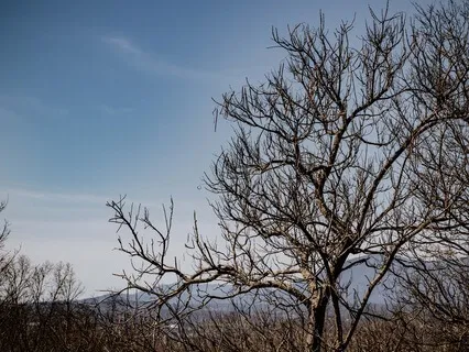 A Cosmic Sleep Journey Sleep Meditation