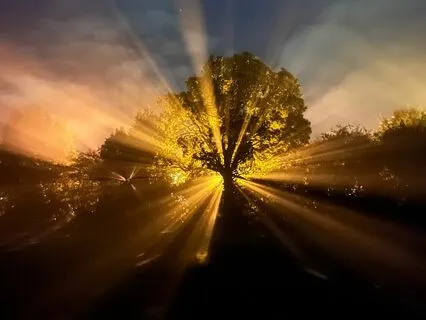 A Course In Miracles - Chapter 12, Section I