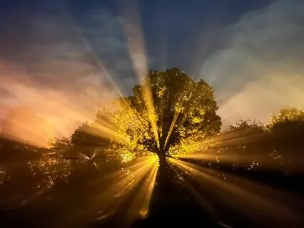 A Course In Miracles - Chapter 12, Section II