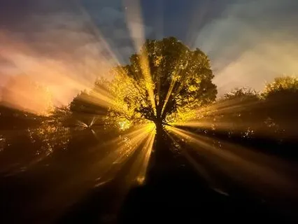 A Course In Miracles - Chapter 12, Section III