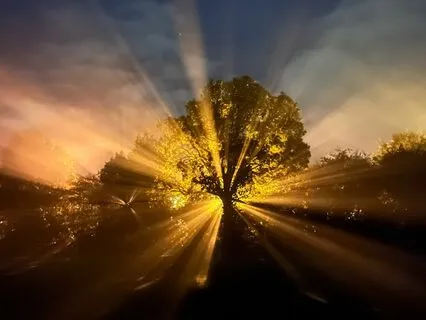 A Course In Miracles - Chapter 12, Section IV