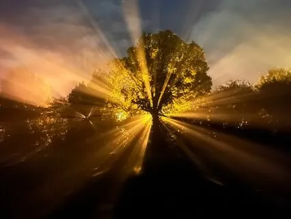 A Course In Miracles, Chapter 12, Section V