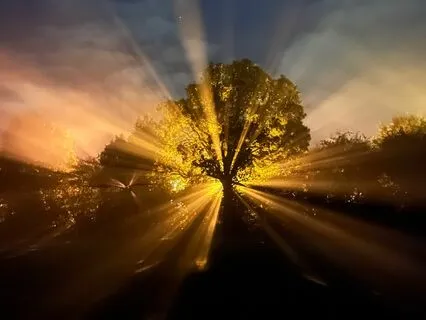 A Course In Miracles, Chapter 12, Section VII