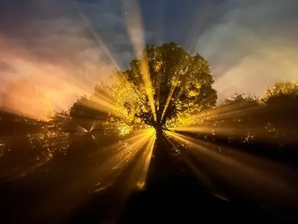 A Course In Miracles, Chapter 12, Section VIII