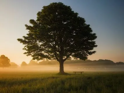 A Course In Miracles - Chapter 13, Section III