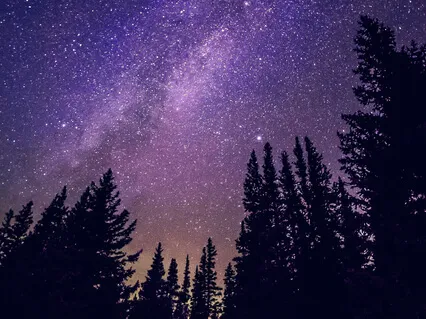 A Course In Miracles - Chapter 2, Section V