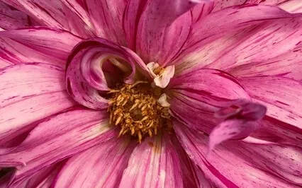 A Course In Miracles - I Am Sustained By The Love Of God