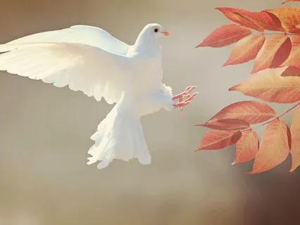 A Course In Miracles - Lesson Titles 1-110