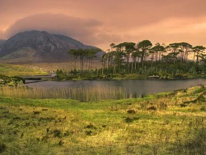 A Cozy Drive Through Misty Ireland: A Soothing Sleep Story