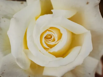 A Cozy Winter Meditation