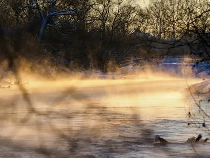 A Creative Life - Remembering Our Creative Genesis