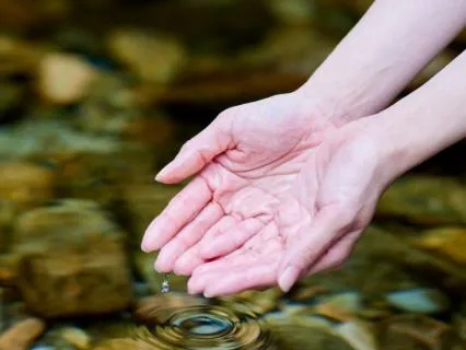 A Daily Gratitude Practice