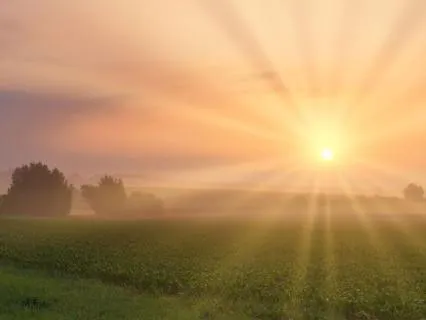 Daily Morning: Calm & Centered | 16-Min Grounding