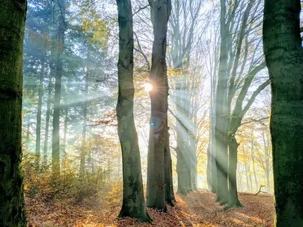 A Dark Angel Ascends