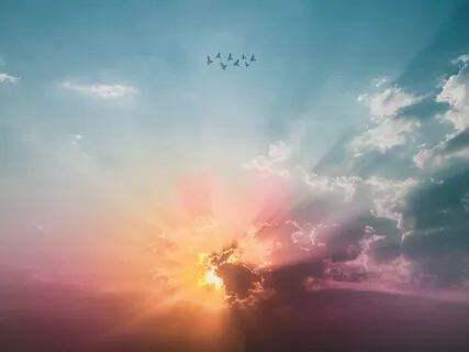 A Day Of Loving Intention