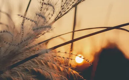 A Day Off Meditation