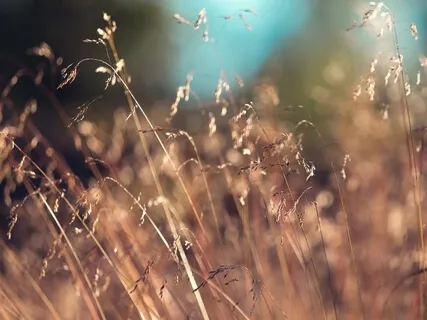 A Deep Healing Practice: Learning About Body Triggers