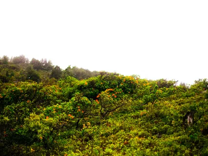 A Deeper Dimension (Music For Meditation & Sleep)