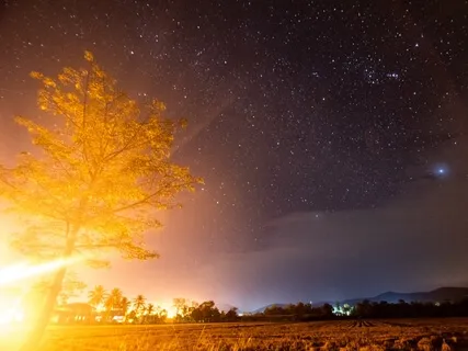 A Deeply Nourishing Rest (Live)