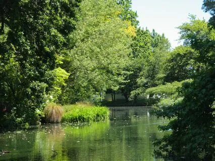 A Delightful Journey With The Angels Of Light