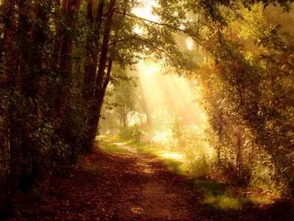 A Delightful Sunrise Meditation