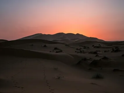 A Desert Conversation