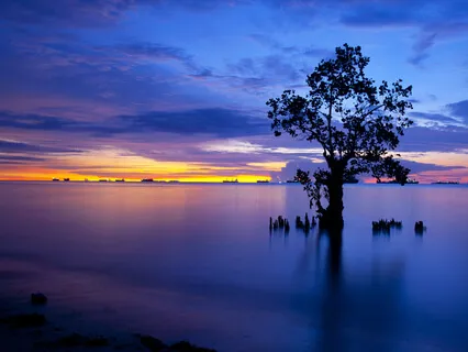 Lucid Dreaming & Other Distortions Of Consciousness