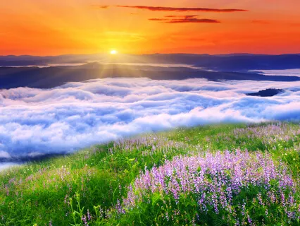 A Divine Embrace With Your Guardian Angel