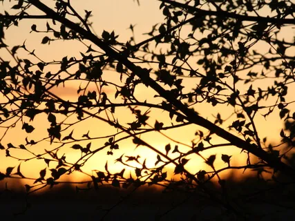 A Dose Of God 1 - Introduction