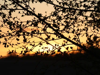 A Dose Of God 19 - When You Do What's Right And Give