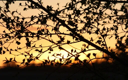 A Dose Of God 23 - In The Value Of Moments You Spend