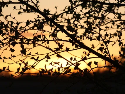 A Dose Of God 4 - On The Radio In The Car