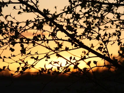 A Dose Of God 8 - In The Presence Of The Grief